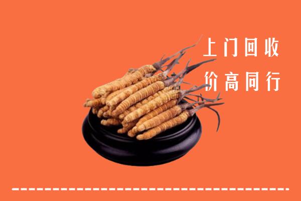 高价求购：肇庆市鼎湖回收散虫草