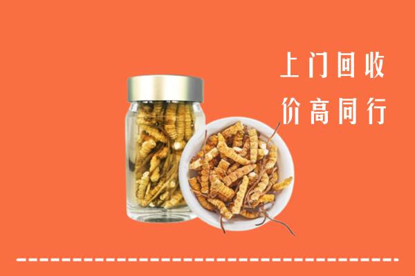 肇庆市鼎湖回收冬虫夏草