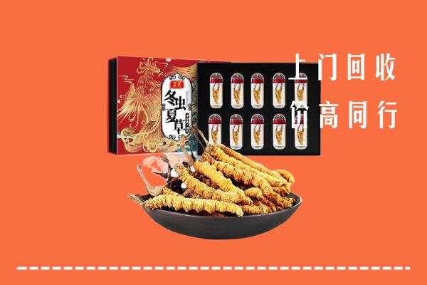 肇庆市鼎湖回收虫草